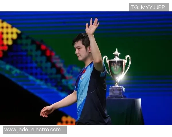 樊振东在中国公开赛中的精彩表现与夺冠之路分析